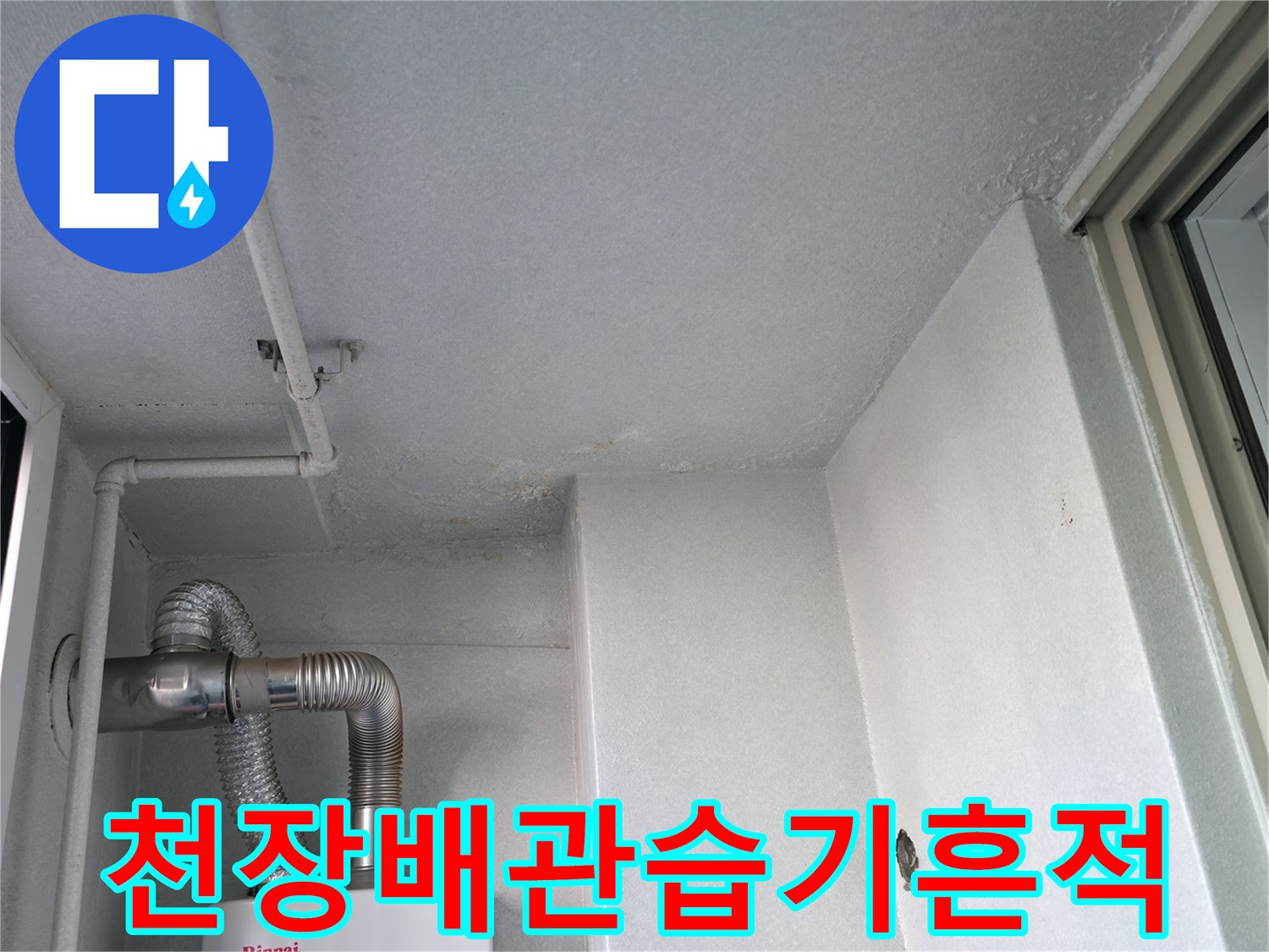 보일러실-천장벽면의-곰팡이와-습기현상