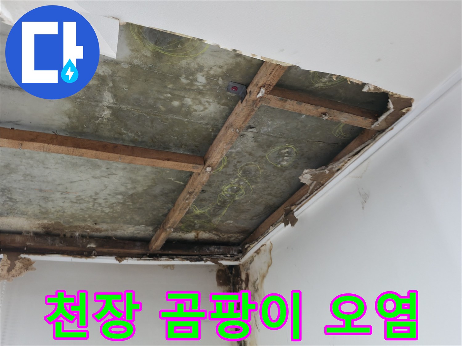 습기를 머금은 천장 내부 구조물과 곰팡이