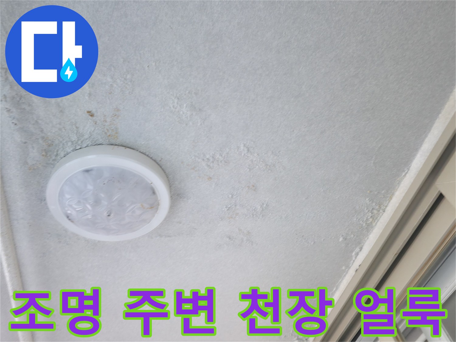 아파트-천장-조명-주곽의-습윤한-상태-확인