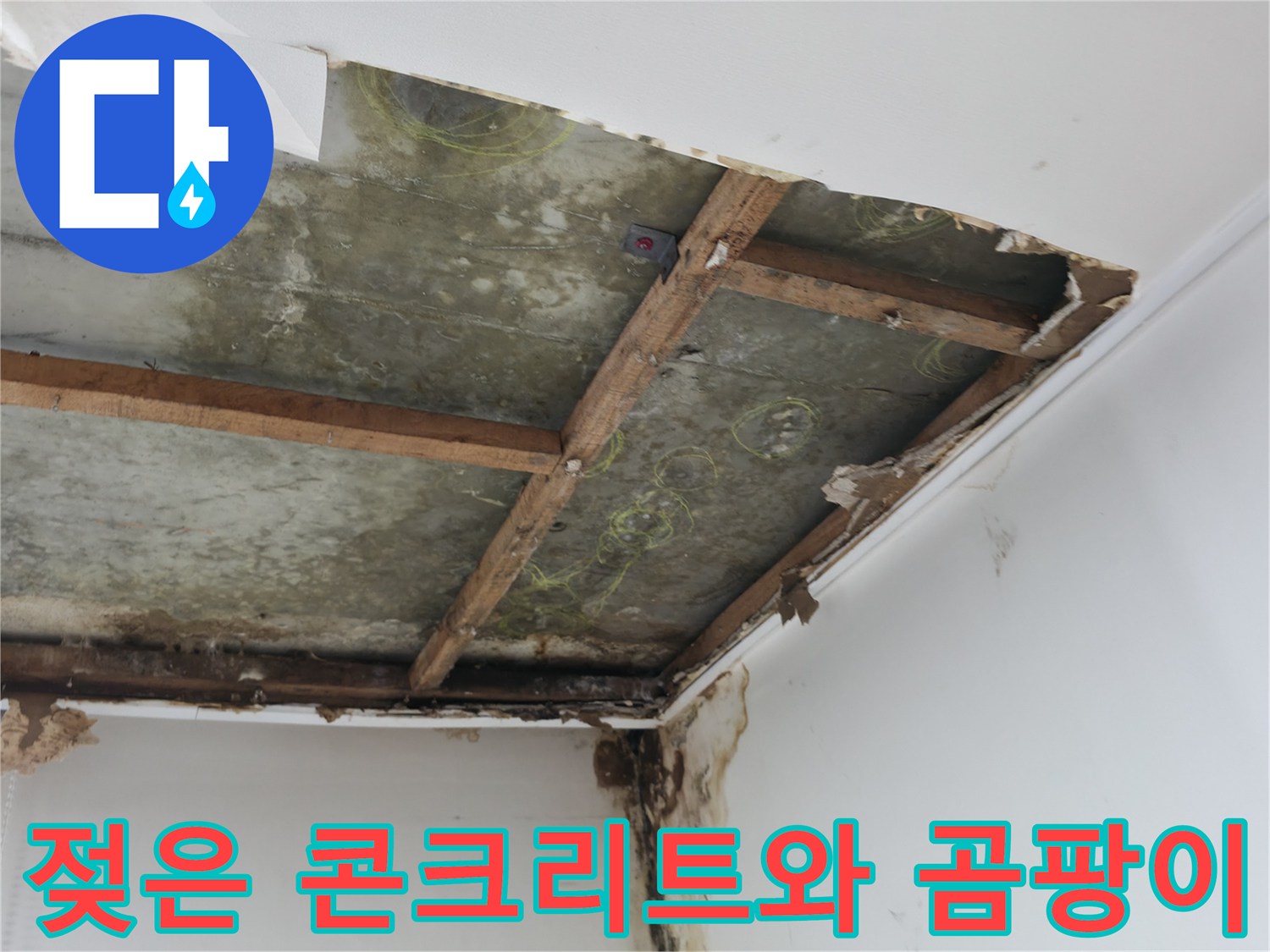 천장 마감재 뒤편의 젖어있는 슬래브 및 곰팡이 현황