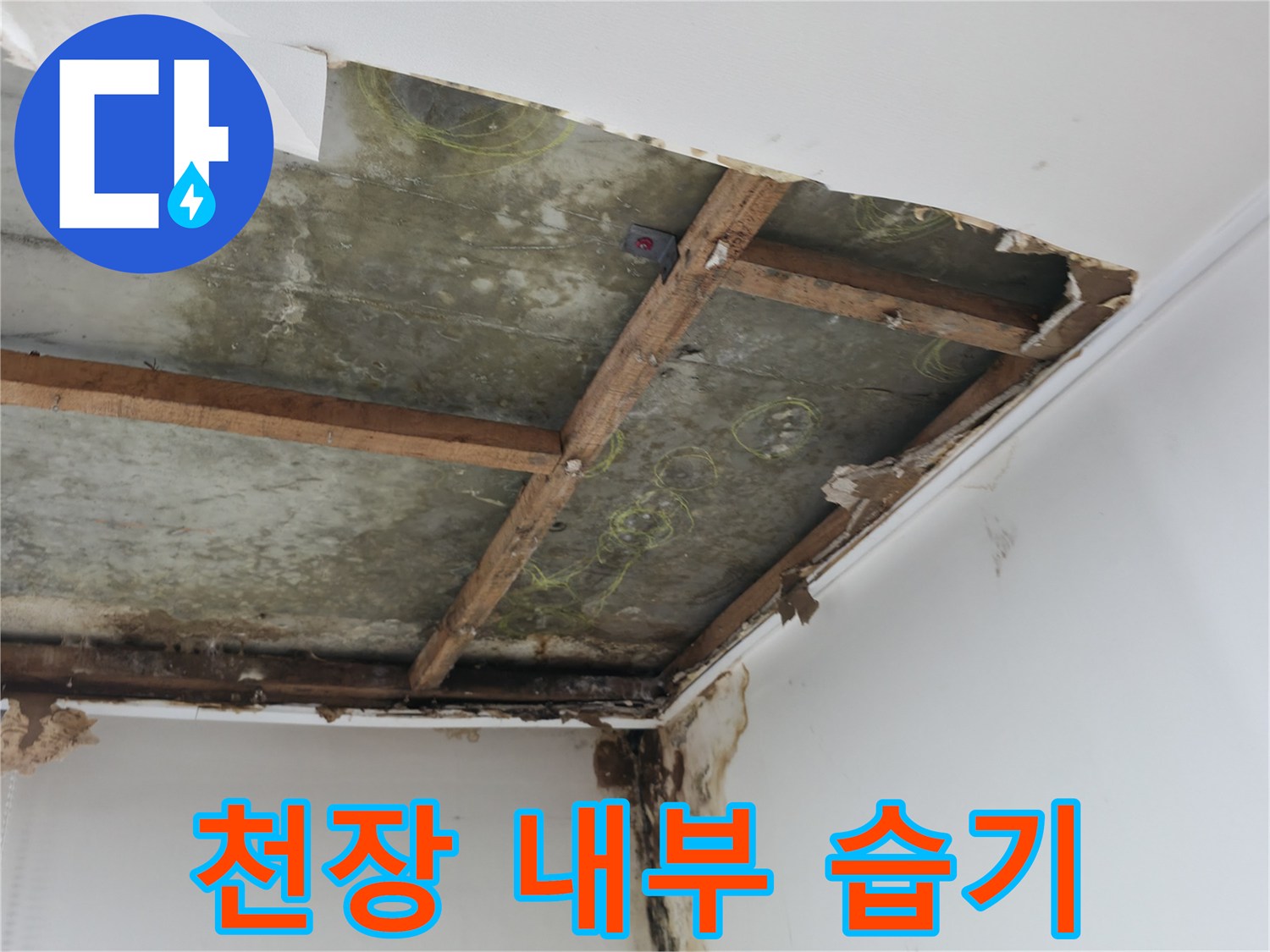 천장 프레임과 슬래브에 발생한 누수 흔적 및 습윤 상태