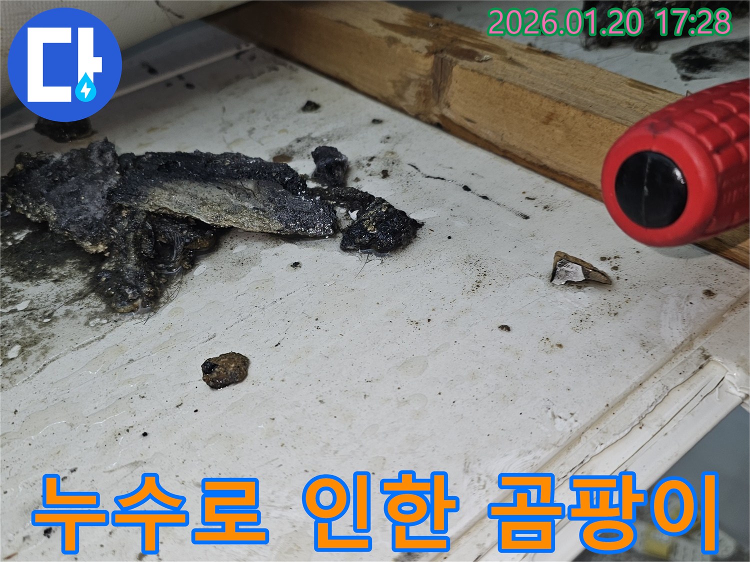 중계동 누수 현장 - 누수로 인한 곰팡이 발생