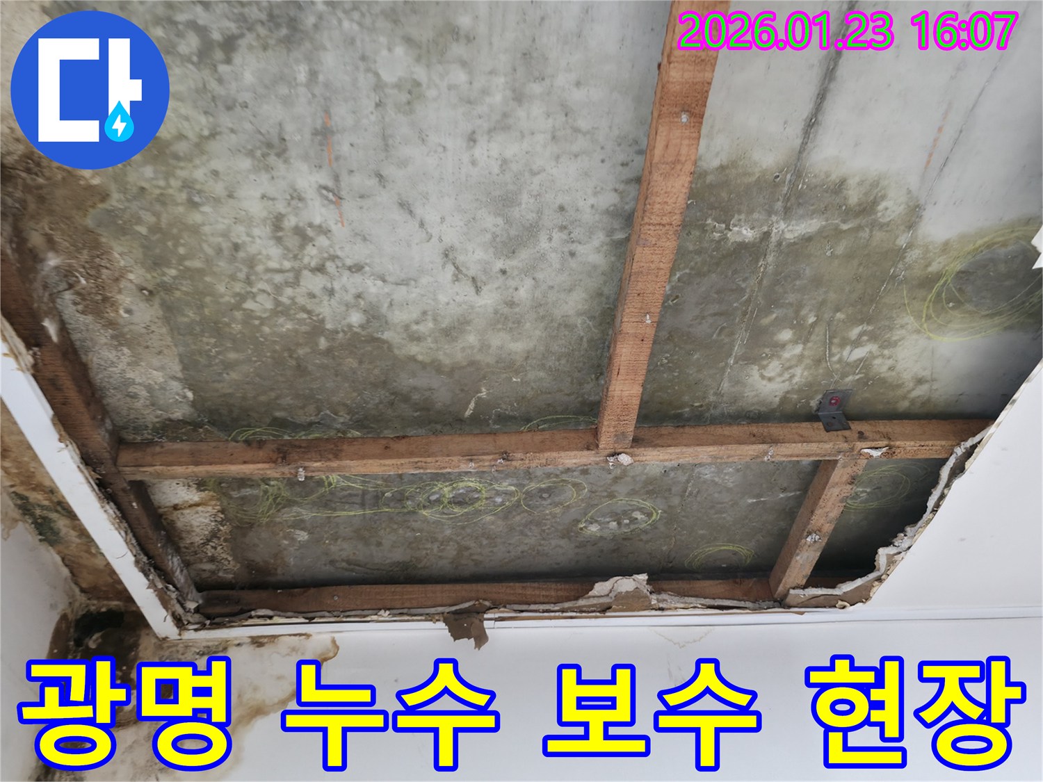 광명시 누수 보수 중-천장 콘크리트 슬라브와 나무 지지대가 노출된-심한 누수 현장