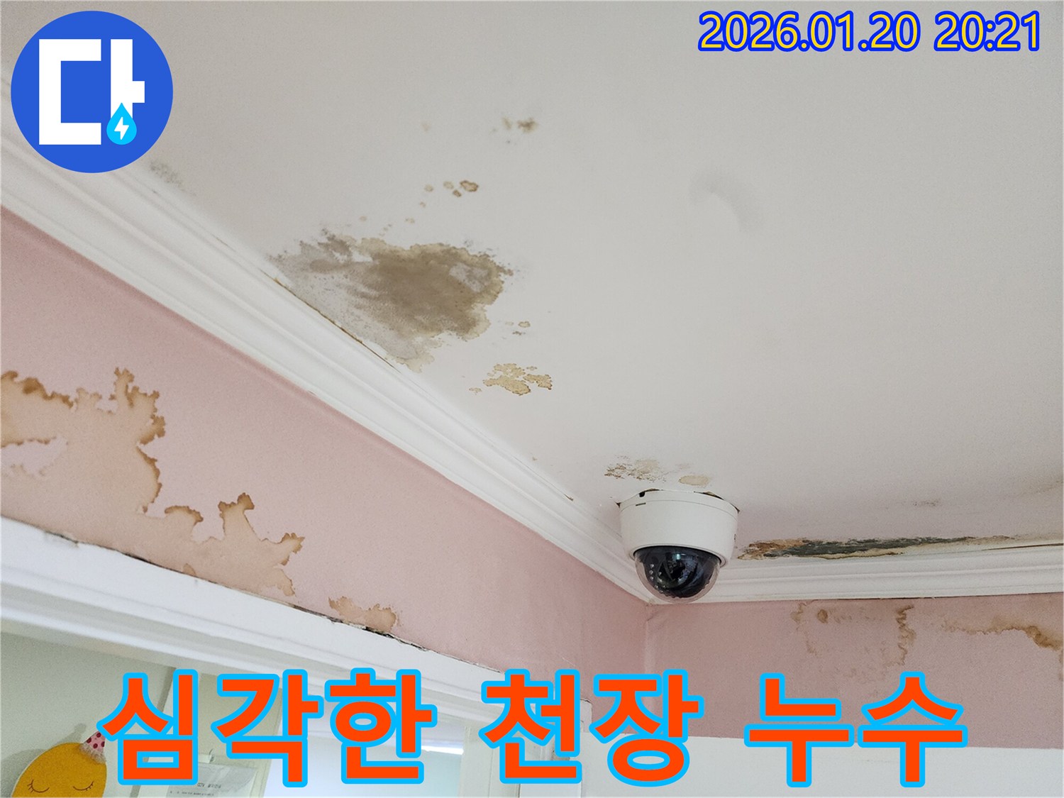 강남구 도곡동 천장 누수 - 심각한 물 얼룩과 벽면 손상을 보여주는 사진입니다.