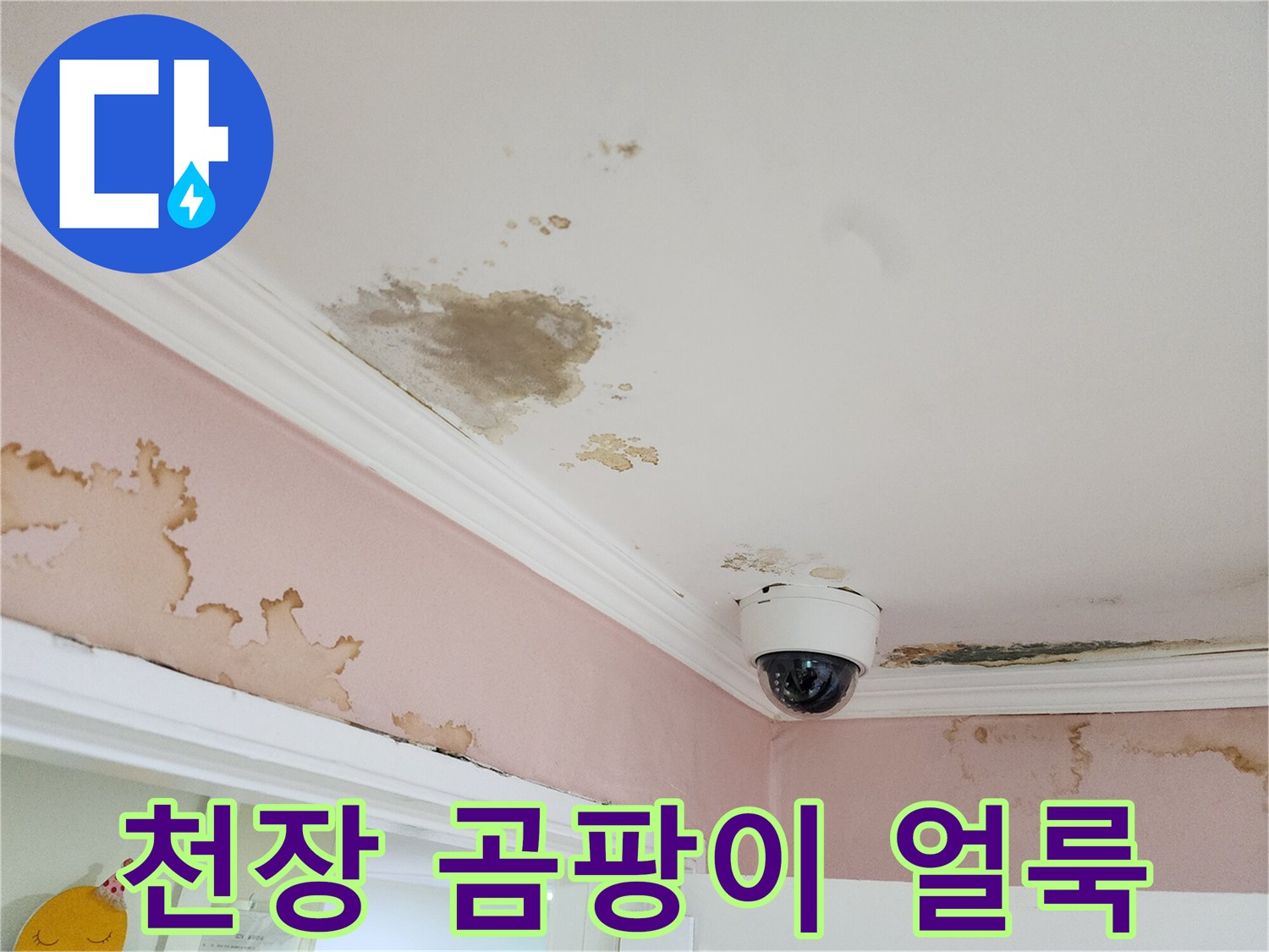 강남구 아파트 천장-벽면의 곰팡이와 물자국 현황