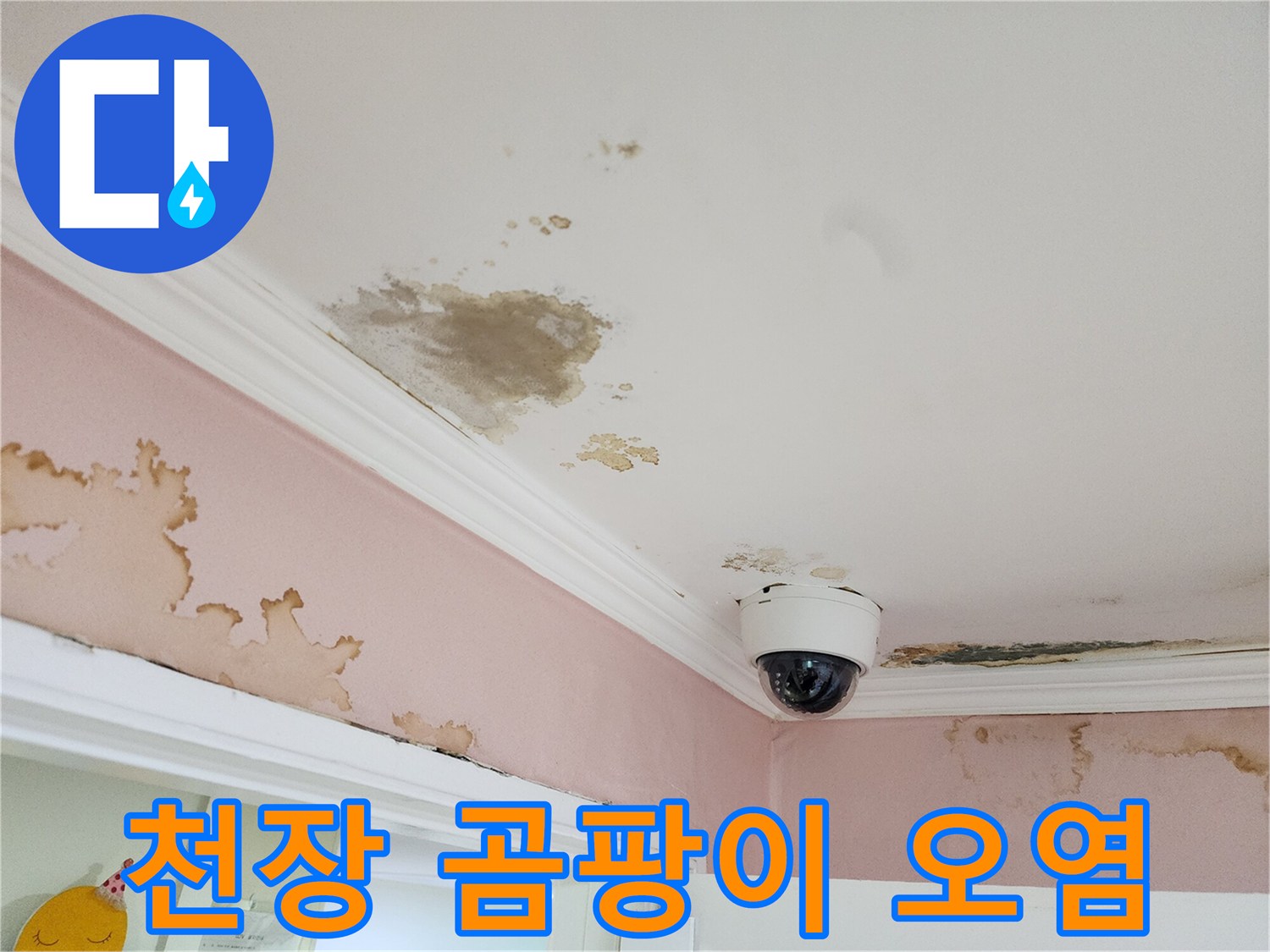 누수로 인해 변색되고 곰팡이가 피어있는 천장 부근