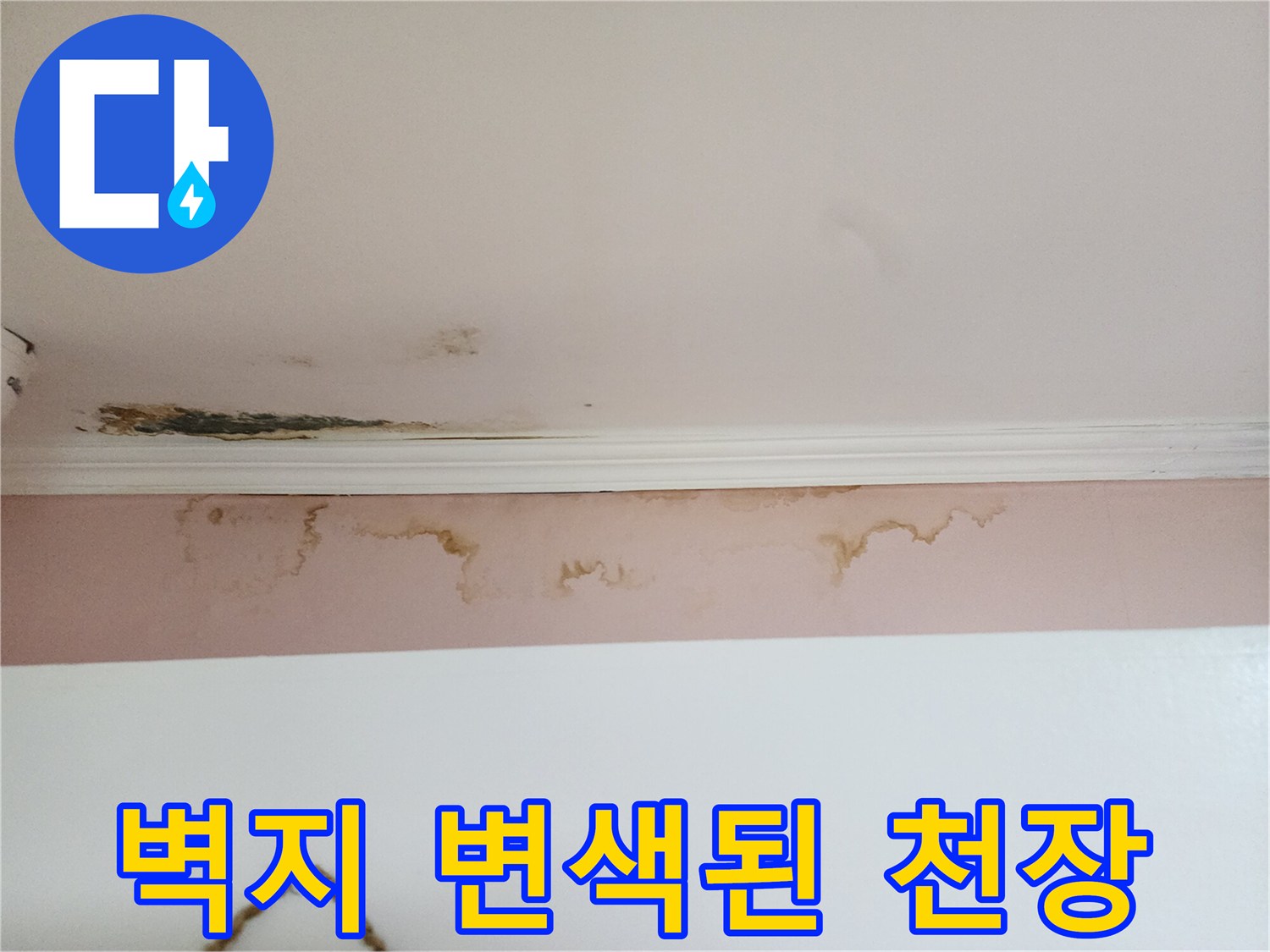천장 벽면의 누런 물 얼룩과 곰팡이 오염 상태
