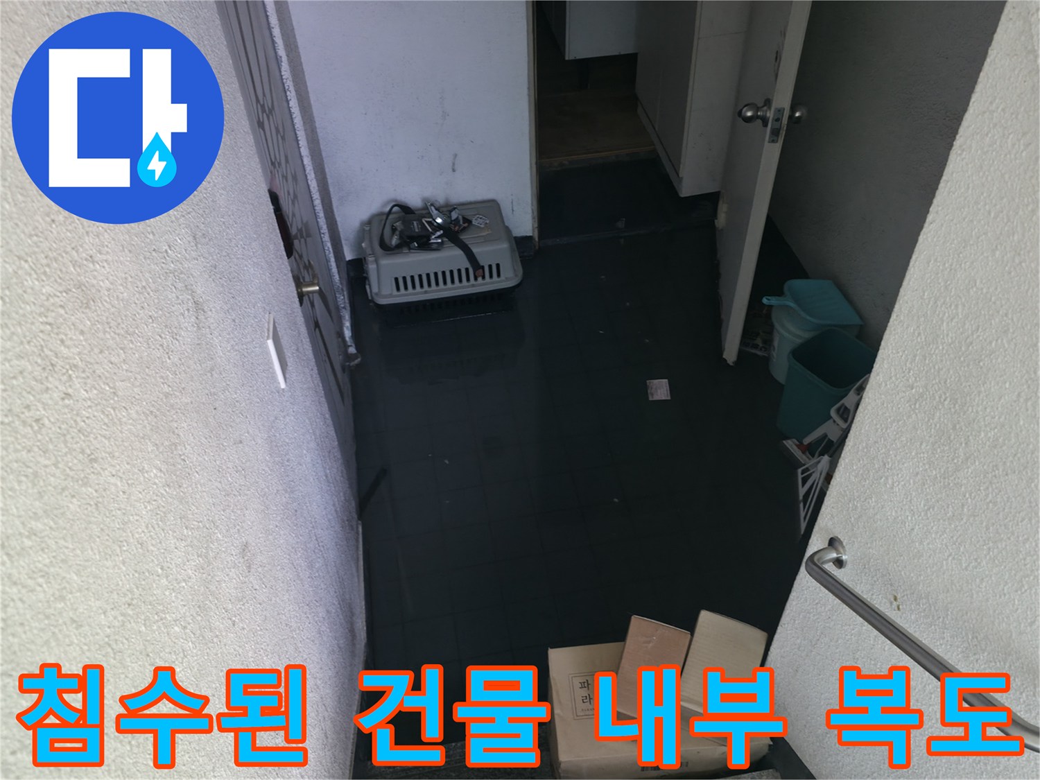 하수 역류로 침수된 반지하 세대 앞 복도 현장입니다.