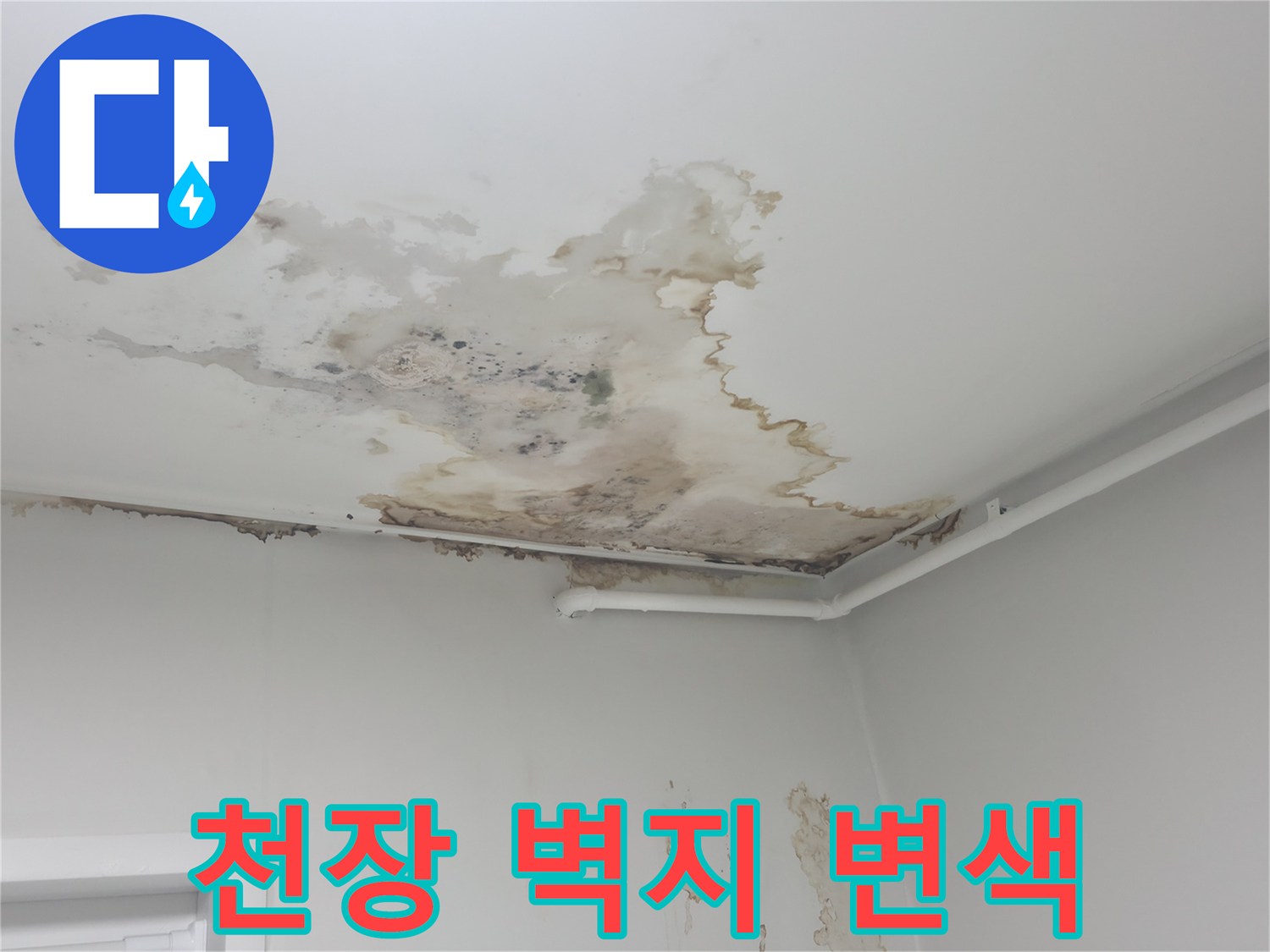 아파트 천장 벽지가 물에 젖어 갈색으로 변한 모습