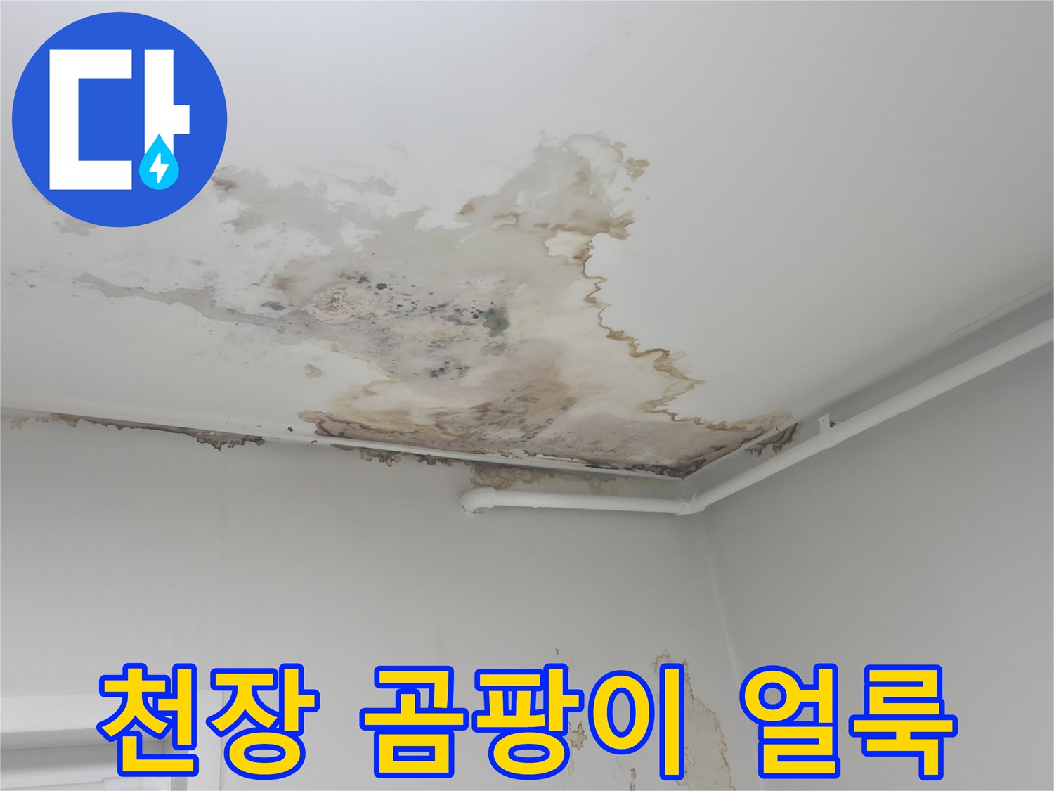 중계동 현장-누수로 인한 천장 곰팡이와 도배지 들뜸 현상