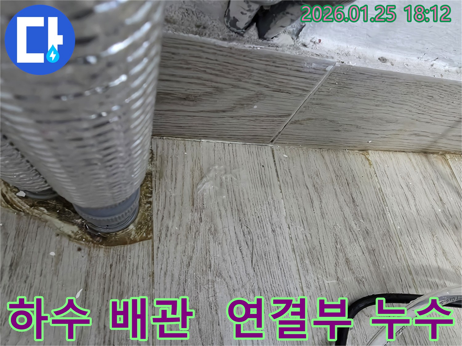 광진구 자양동 하수 배관 연결부에서 발생한 누수-정확한 지점을 찾아 보수 작업을 진행하고 있습니다.