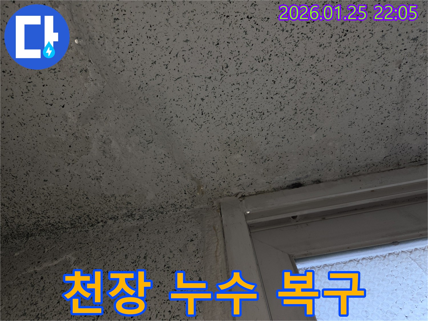 모현읍 왕담로 주택의 천장 얼룩-누수 원인 파악부터 완벽한 복구까지-전문가가 책임지고 진행합니다.