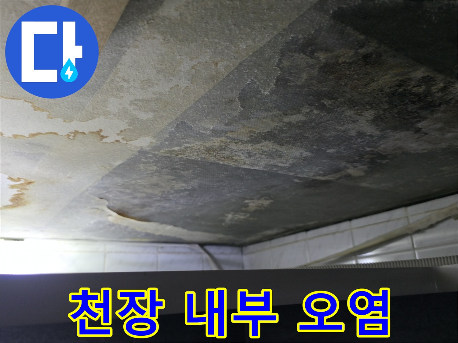 검게 변색된 천장 콘크리트와 습기가 찬 모습