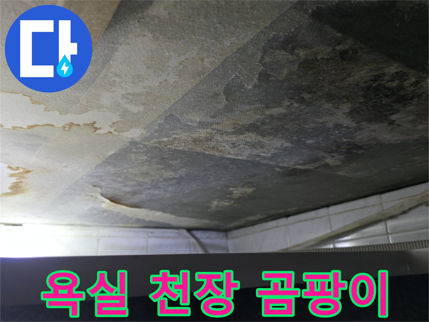 천장 내부 슬래브에 발생한 검은색 곰팡이와 습기 흔적