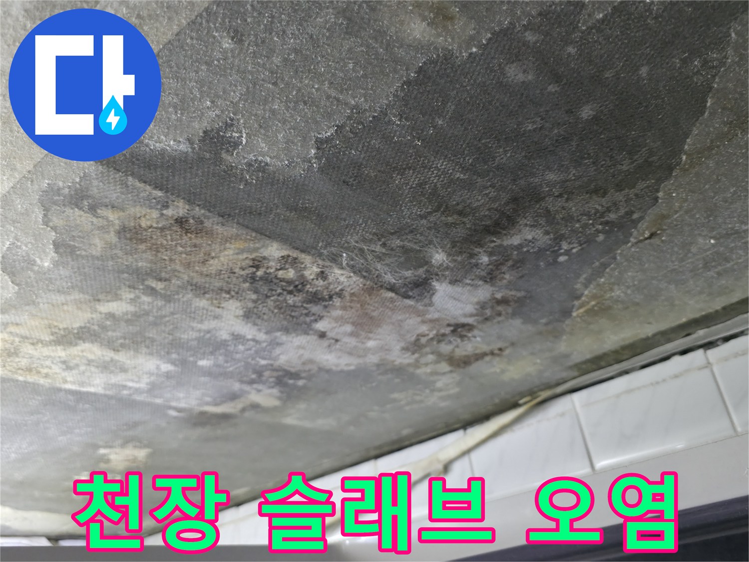 축축하게 젖은-화장실 천장 콘크리트의-오염된 표면