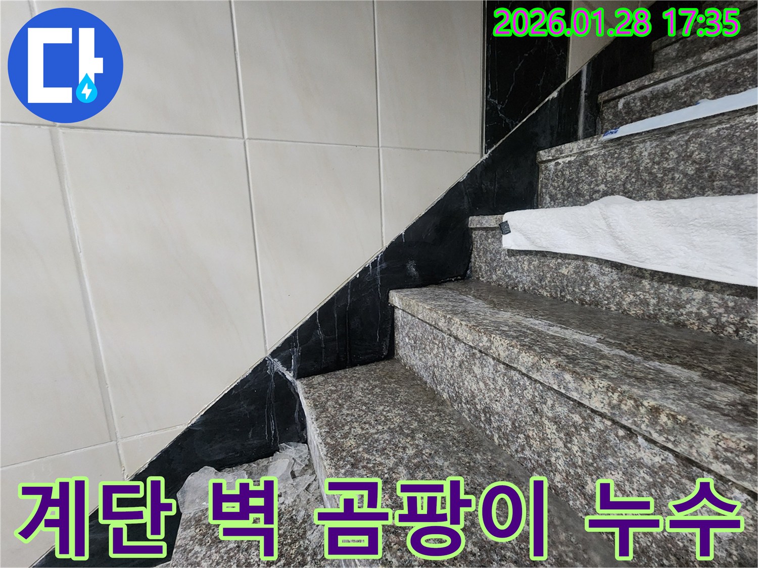 계양구 만봉길 계단 벽에 발생한 곰팡이 - 누수탐지 전문가가 곰팡이의 근본적인 원인을 찾아 해결합니다.