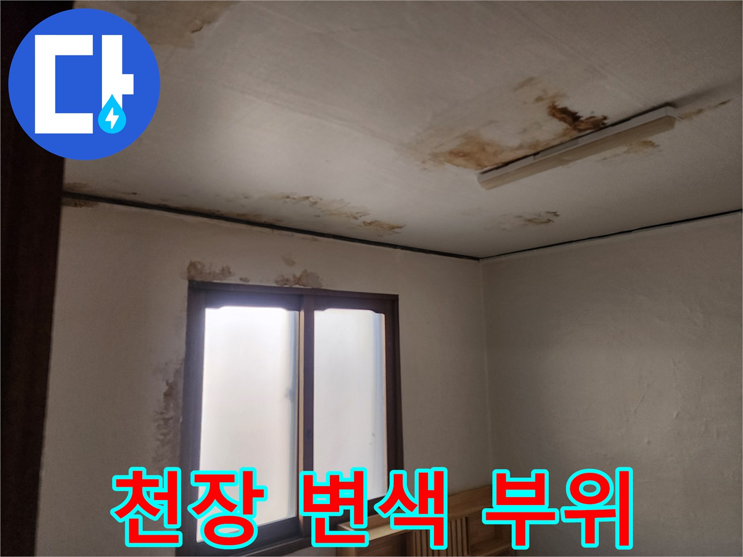 천장 벽지가 젖어 갈색으로 변한 사진-누수 현장 점검