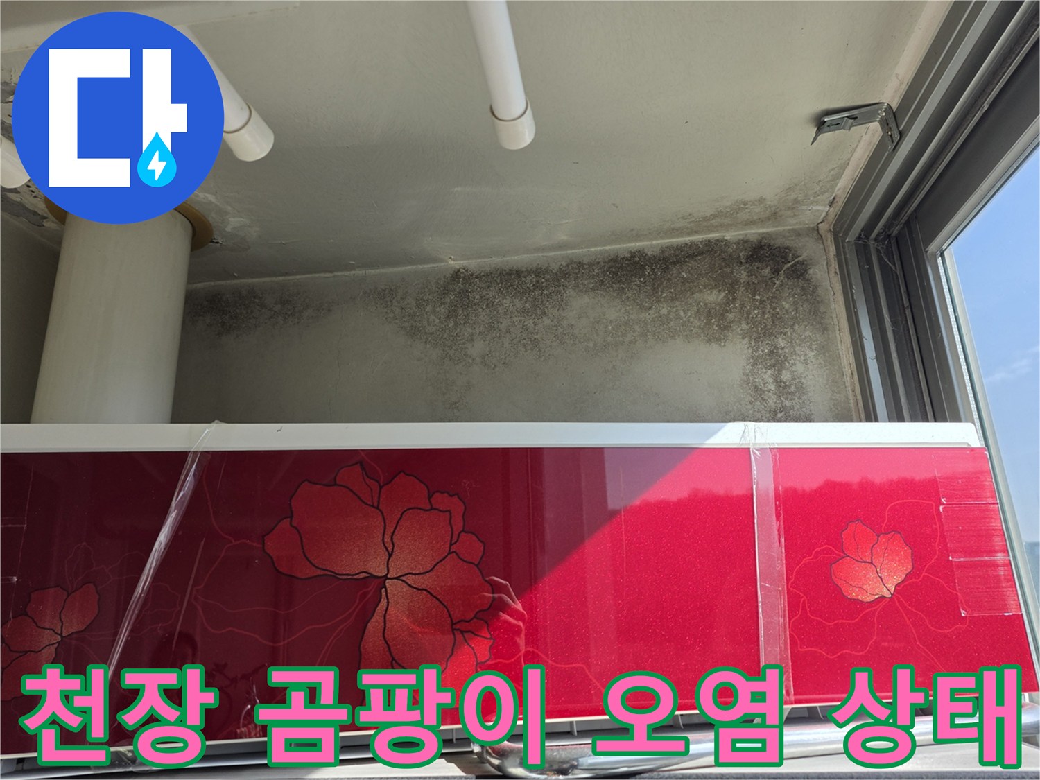세탁실 천장 및 벽면-곰팡이가 번진 누수 흔적 부위