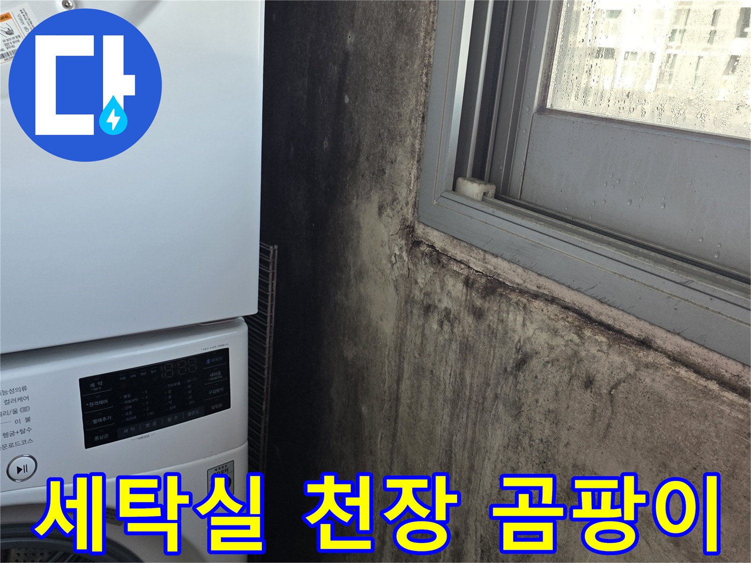 세탁실-천장-부근의-검은색-곰팡이와-오염된-벽면-상태