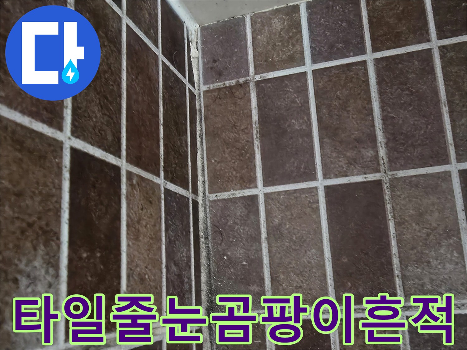 욕실 타일 줄눈에 발생한 곰팡이와 습기 흔적 상세 사진