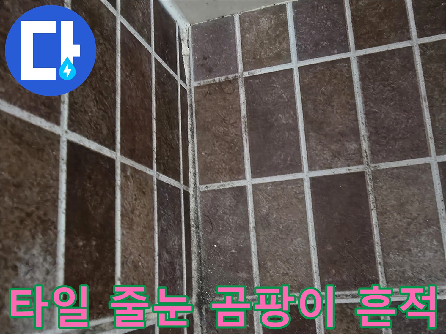 욕실 타일 틈새-곰팡이와 물때로 오염된 타일 줄눈 근접 촬영
