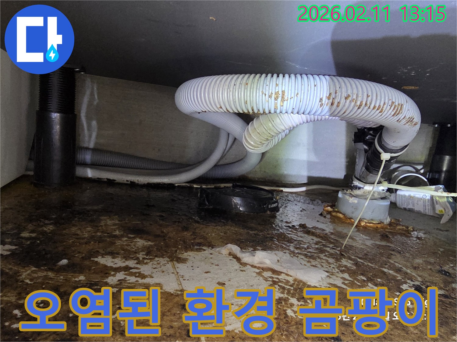 누수로 인해 오염된 환경에서 곰팡이 및 세균 번식을 방지하기 위한 조치 현장입니다