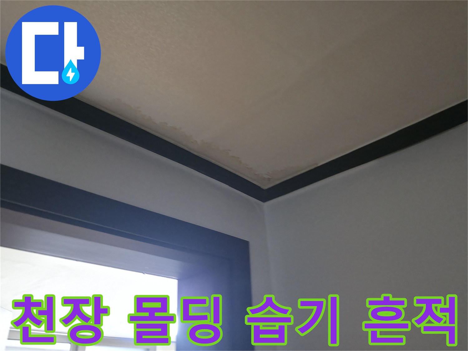 천장 몰딩과 벽지 경계면에 나타난 습기 침투 현상