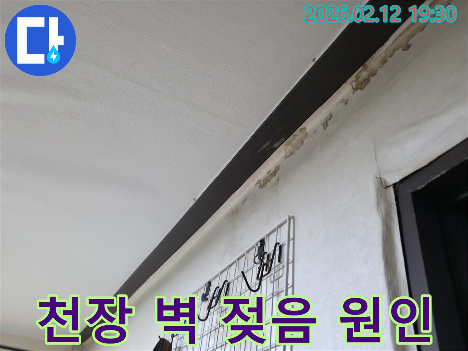 천장과-벽면-경계에-누수로-인해-벽지가-젖고-손상된-모습을-보여주며-원인-분석이-필요한-상황