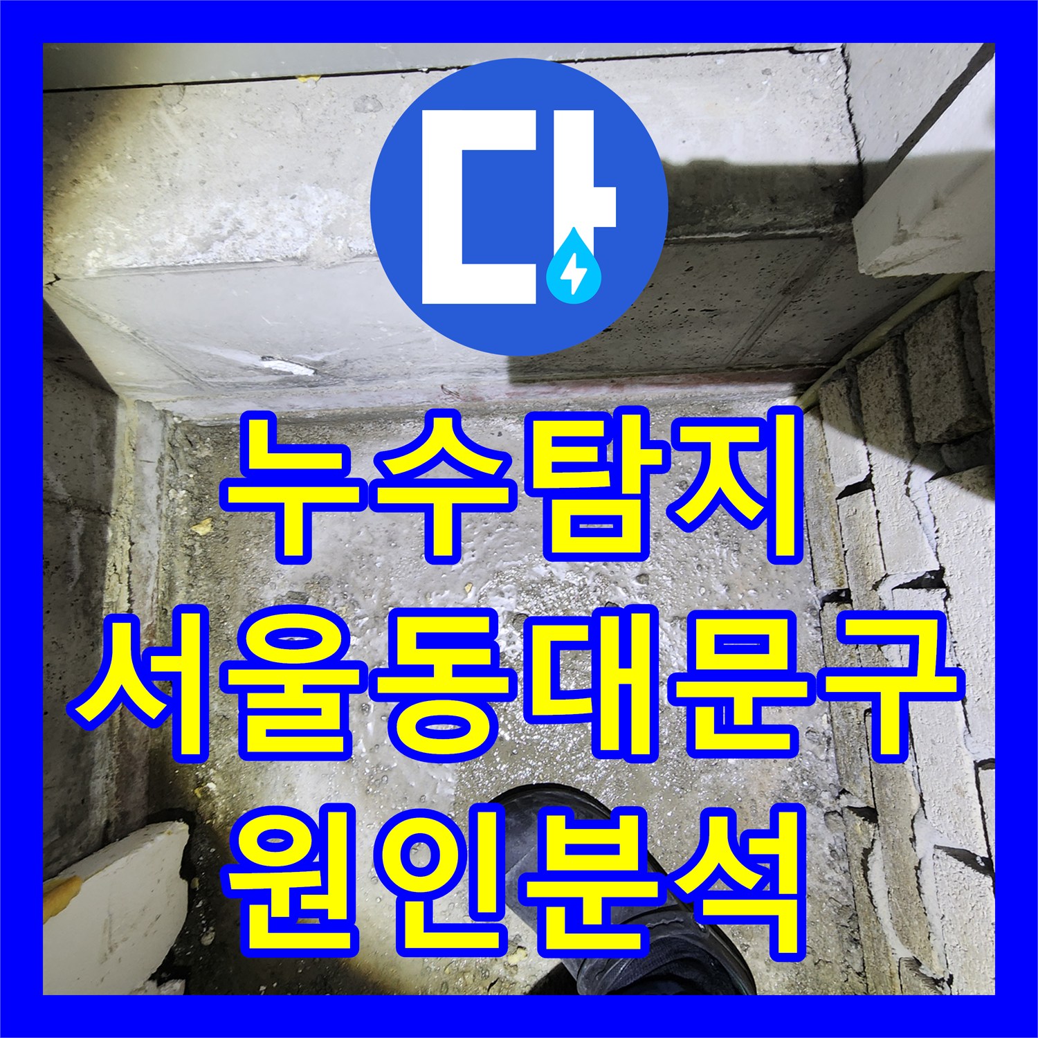 누수탐지 서울 동대문구 다세대 주택의 정밀 진단과 원인 분석 과정