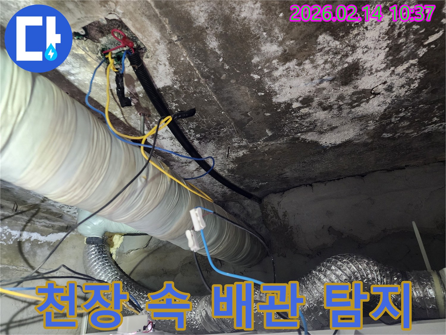 누수-탐지-전문가가-천장-내부의-복합적인-구조를-분석-중