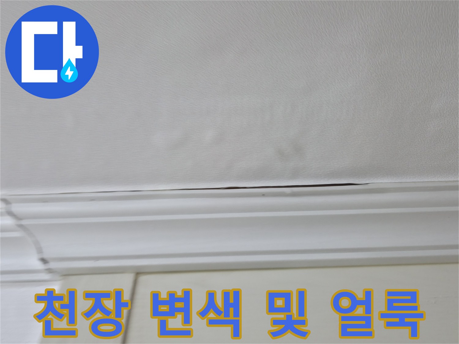 누수 증상이 나타난 화장실 입구 천장 모습