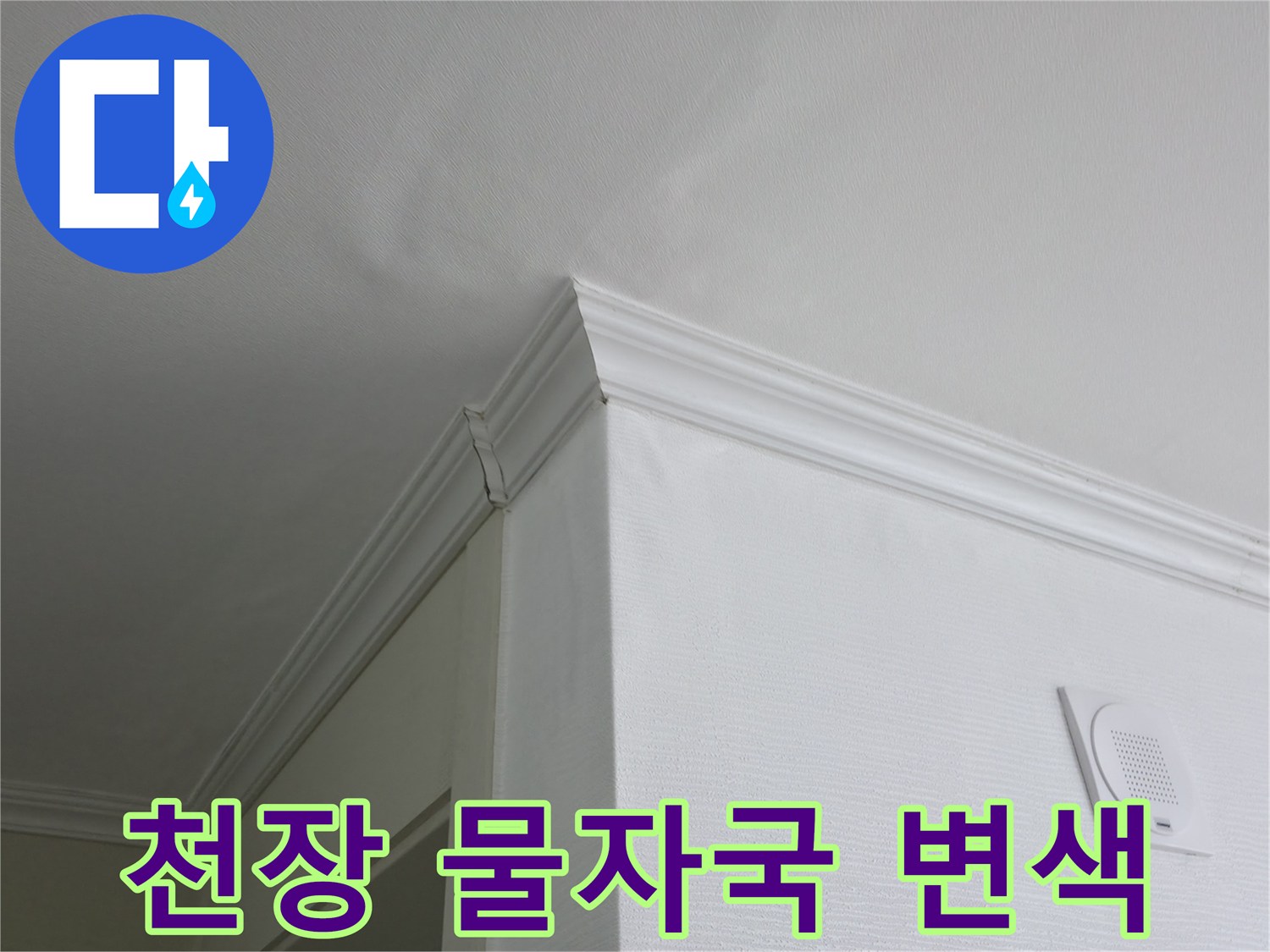 의정부 현장-화장실 입구 천장의 누수 흔적과 변색된 상태
