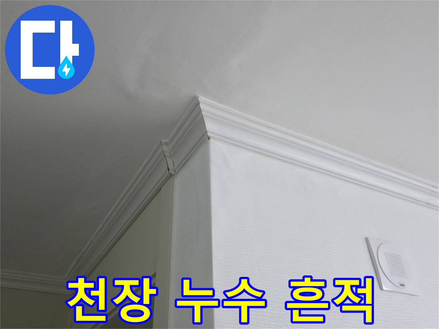 천장 몰딩 경계면에 나타난 습기 및 변색 부위