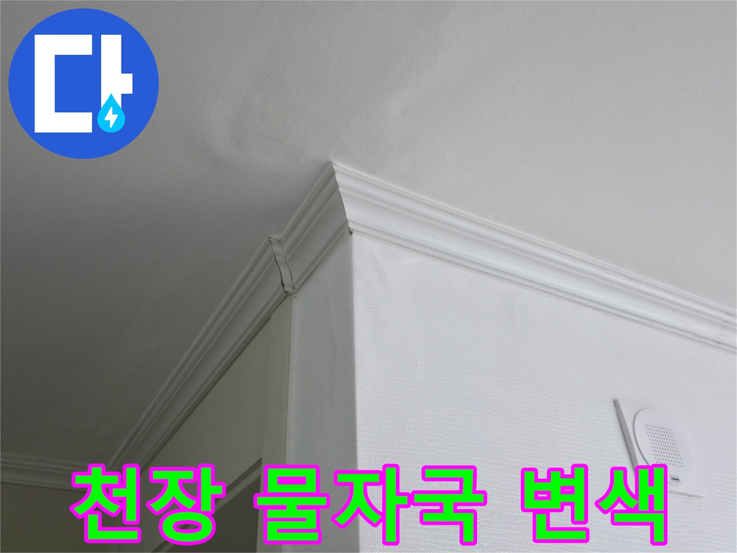 화장실 입구-천장 부분의 물자국과 변색 상태
