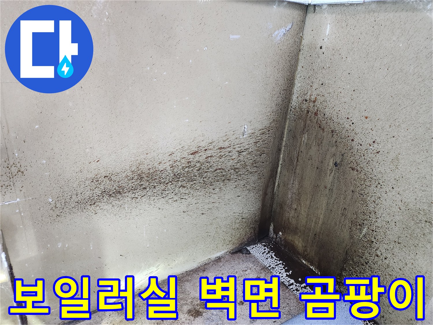 용인 기흥구 보일러실 벽면에 나타난 심한 곰팡이와 습기 흔적