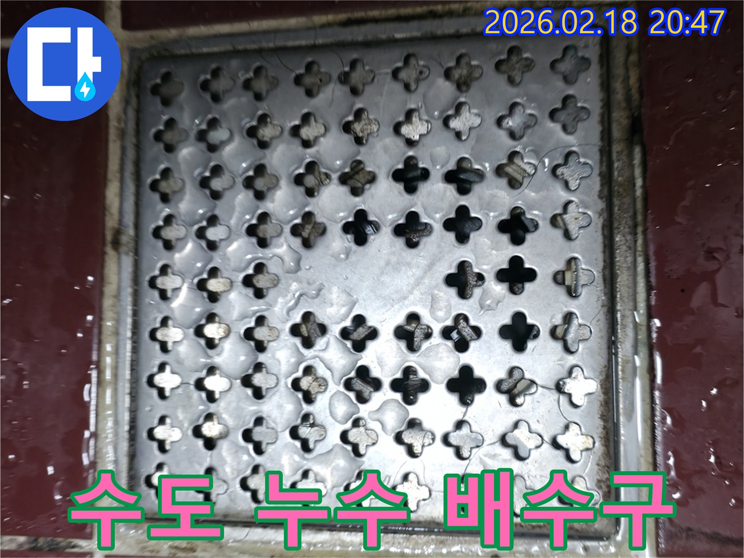 배수구 주변에 고인 물이-수도 배관 누수와 연관될 가능성을 보여줍니다.