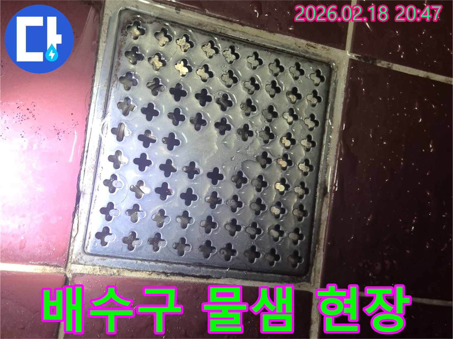 양주 백석읍 화장실 배수구-주변 타일에 물이 고여있는-누수 의심 현장 사진