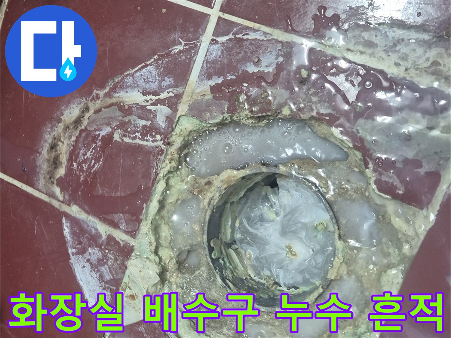 양주시 화장실-배수구 주변의 물샘 흔적과 오염 상태