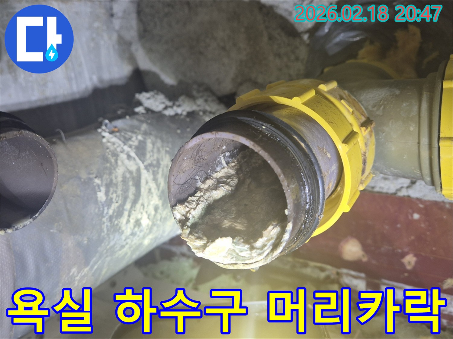욕실 하수구 내부의 심각한 머리카락 축적-배관 막힘의 주된 원인으로 작용하는 이물질-전문 장비를 이용한 배관 청소 및 복구 작업
