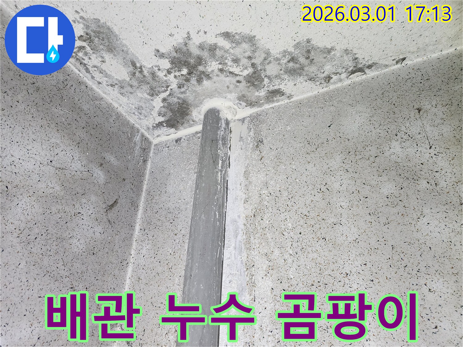 천장 모서리-배관 주변으로 심하게 번진 곰팡이와 누수 흔적