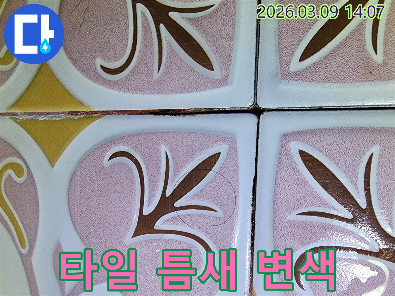 욕실 타일 틈새의 어두운 변색-지속적인 물 스밈으로 인한 누수 징후