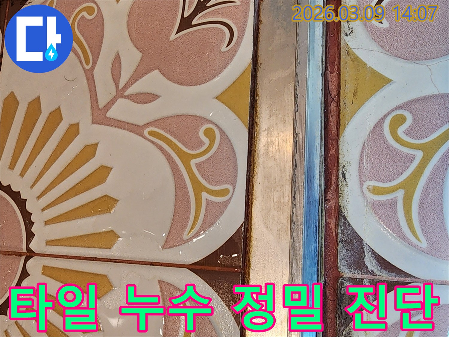 타일 하단부와 줄눈에서 발견된 물기 스밈과 변색을 보여주는 누수 현장 사진입니다.
