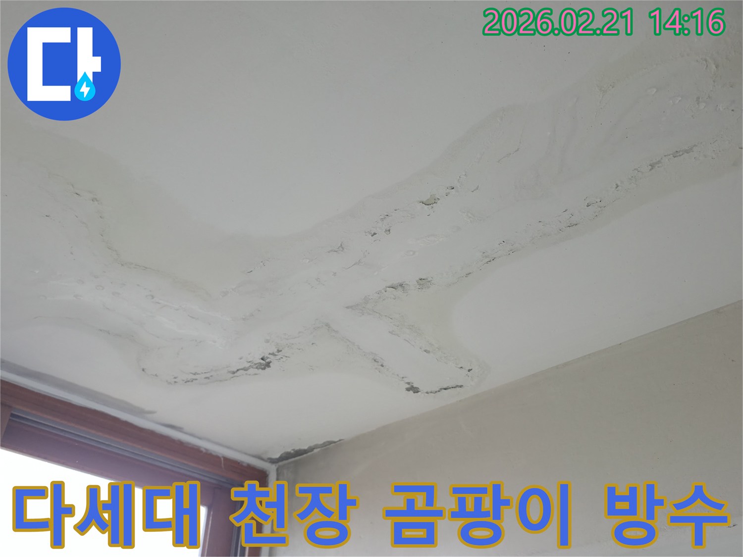 다세대주택 천장에 넓게 퍼진 물얼룩과 곰팡이 흔적-오랜 누수로 인한 심각한 주거 환경 피해-누수 원인을 찾아 곰팡이 제거 및 방수 처리하는 전문가