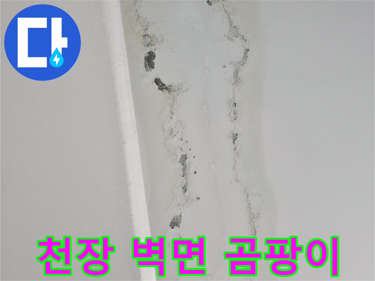 물샘으로 인해 발생한 천장 벽면의 곰팡이와 얼룩