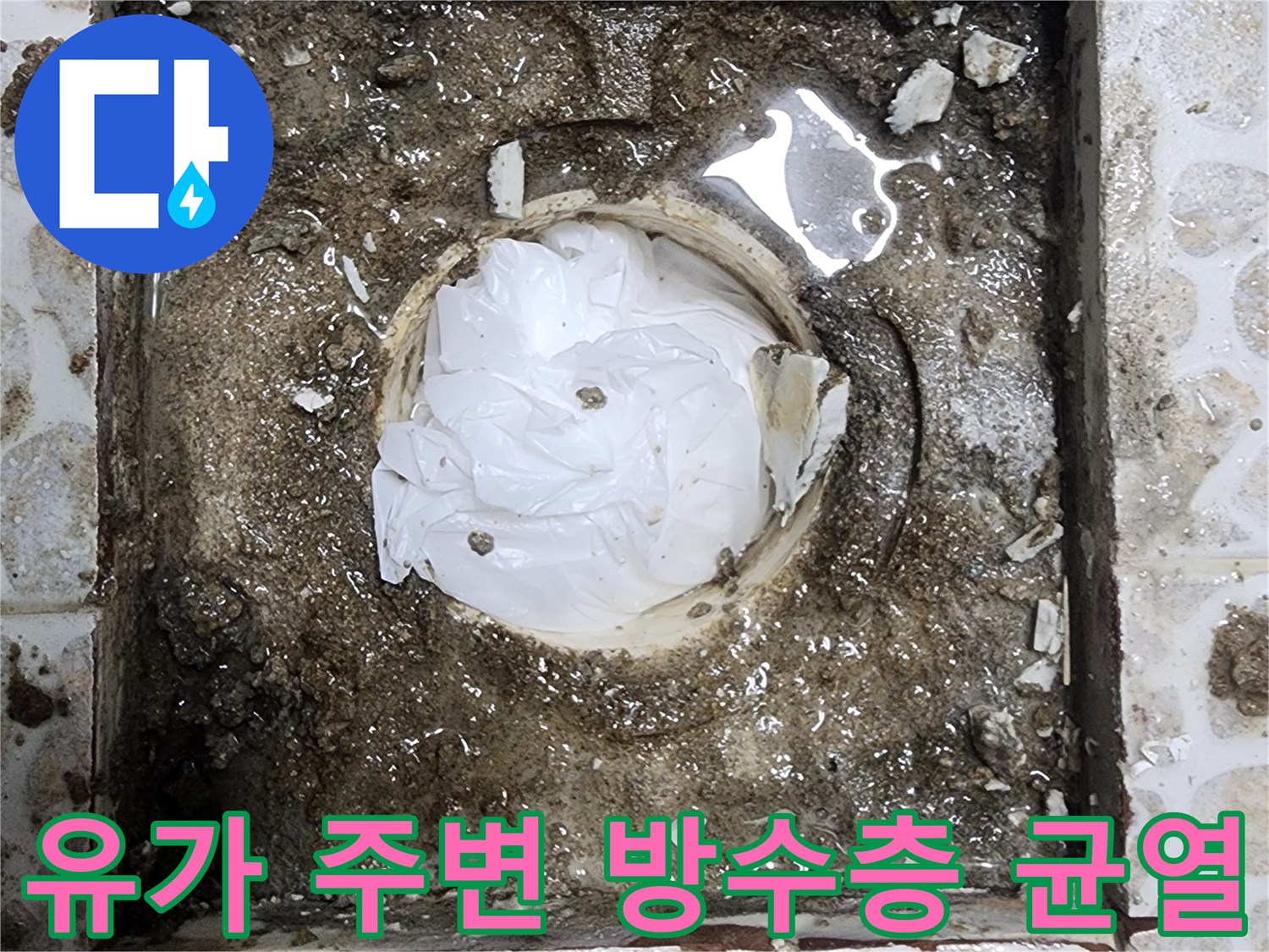 배수관 주위로 물이 고여 있는 젖은 타일과 방수층 상태 사진