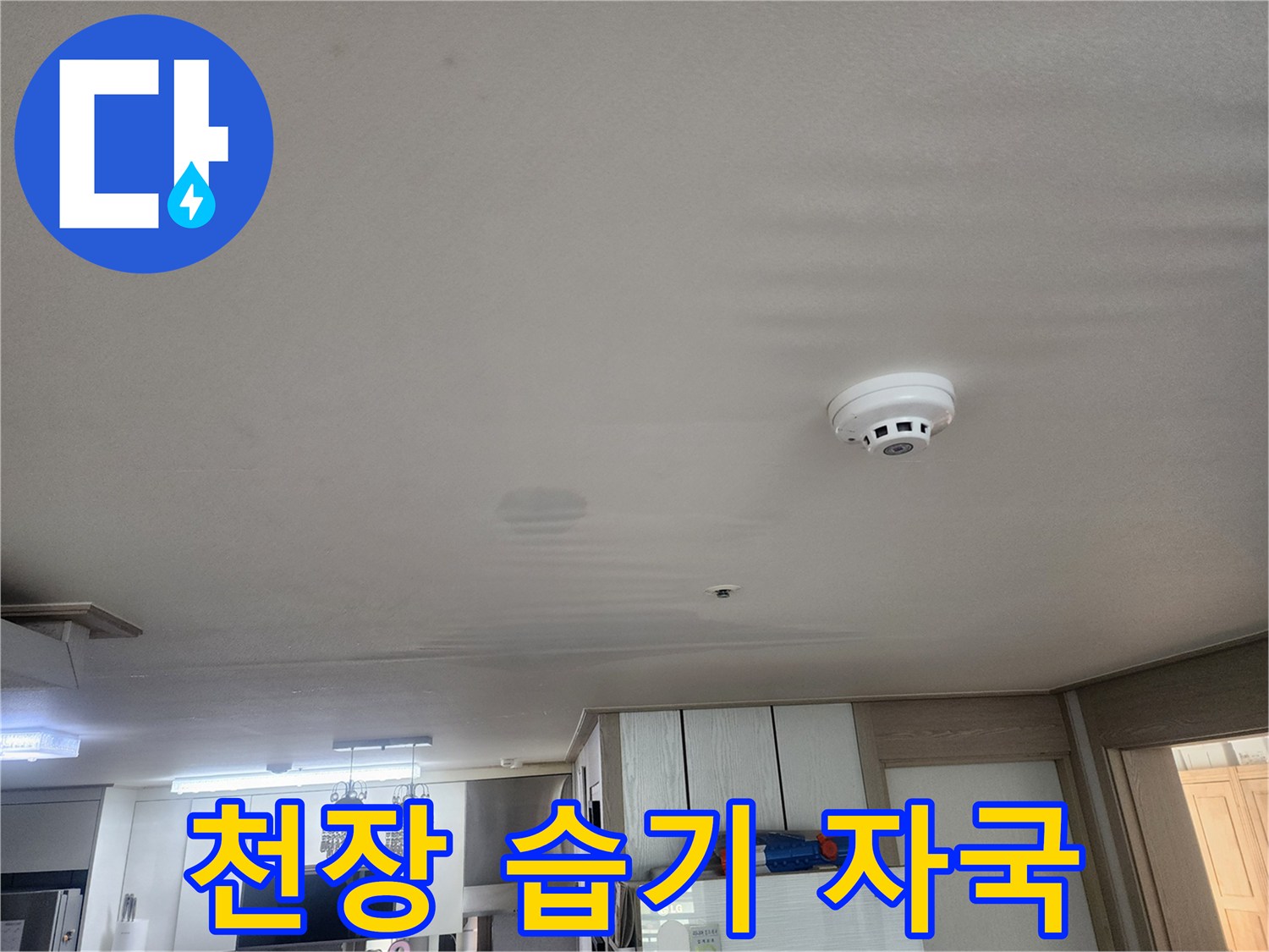 천장 벽지에 나타난 젖은 얼룩과 화재 경보기
