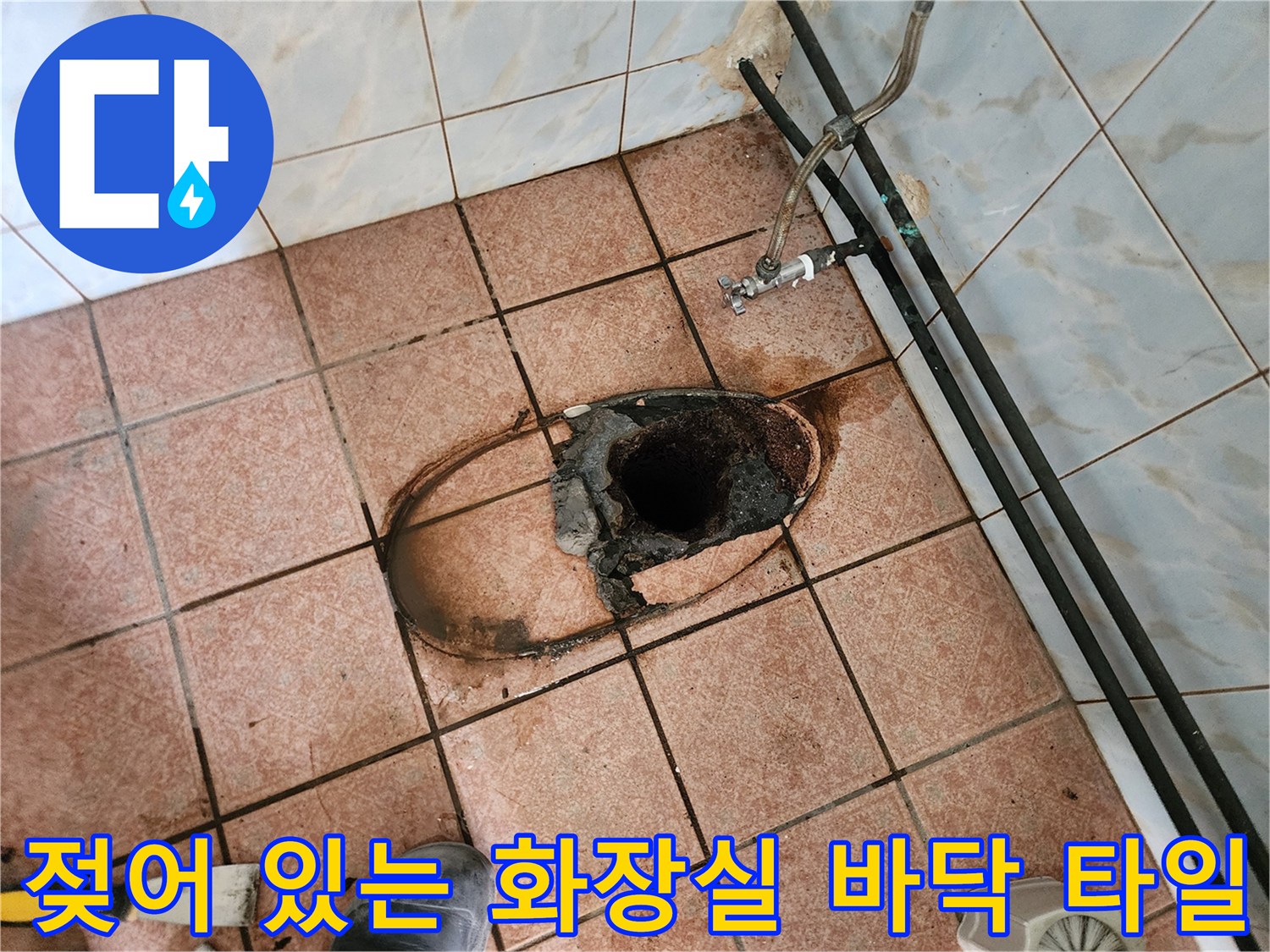 누수로 인해 젖고 오염된 양주 화장실 배수구 주변 현장