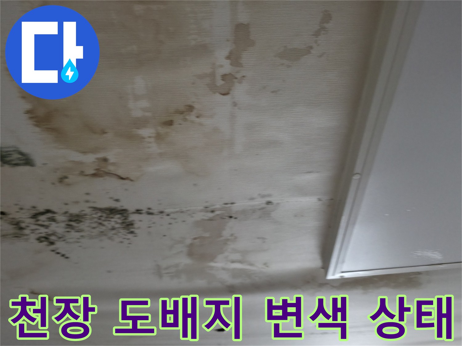 누수로 인해 변색된-천장 도배지와 곰팡이 오염 부위