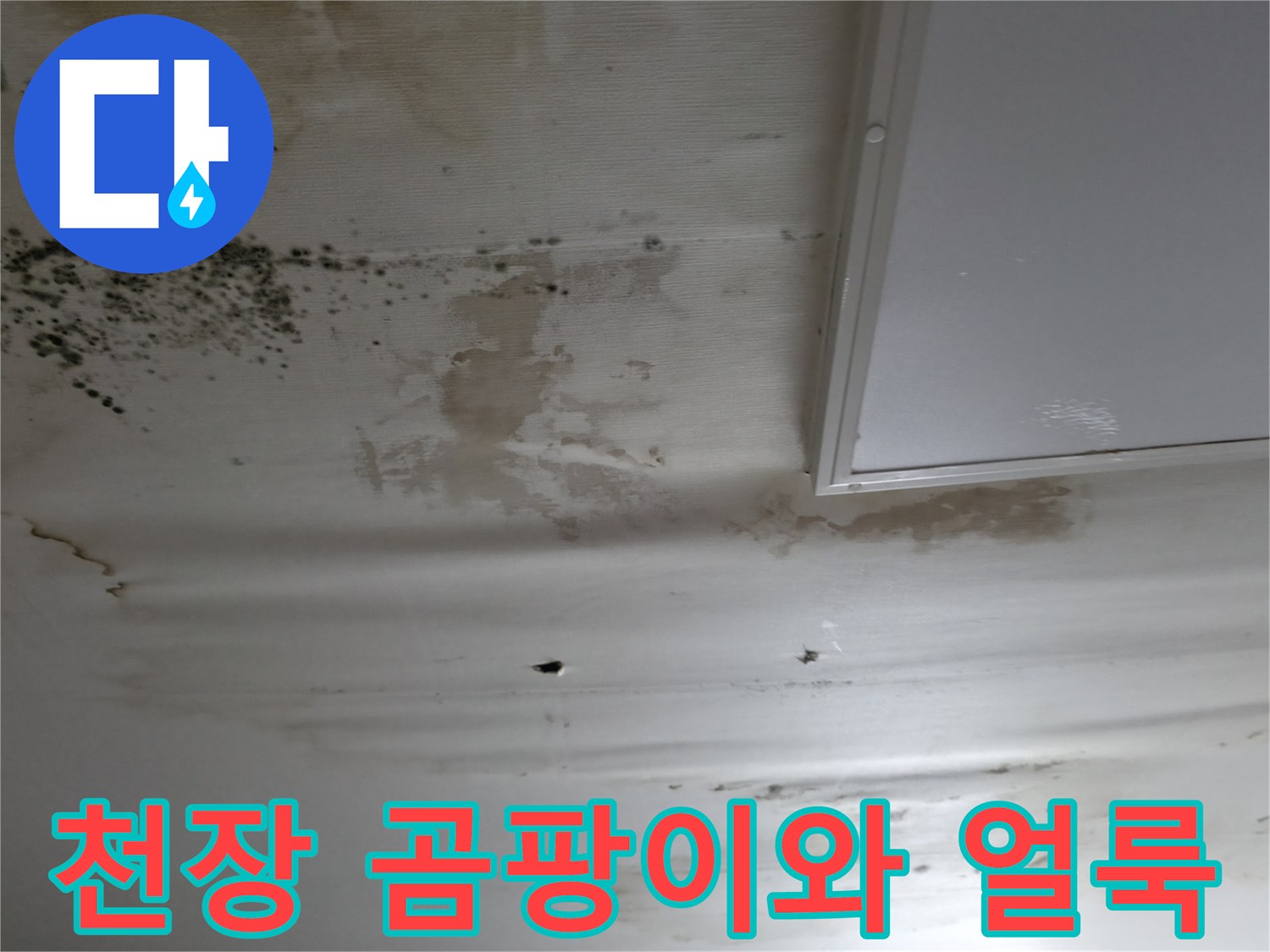 세탁실-천장-벽면에-심하게-피어있는-검은색-곰팡이와-물자국