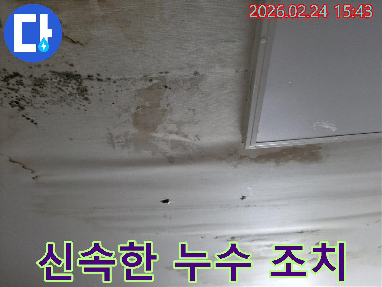 천장에-심한-물얼룩과-곰팡이가-발생하여-더 큰-피해를-막기 위한-신속한-누수-조치가-필요한-현장-사진
